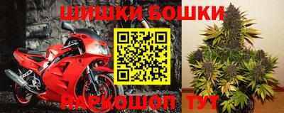 ГАЛЛЮЦИНОГЕННЫЕ ГРИБЫ Лесосибирск
