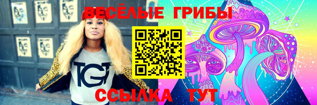 Псилоцибиновые грибы Psilocybine cubensis Холмск