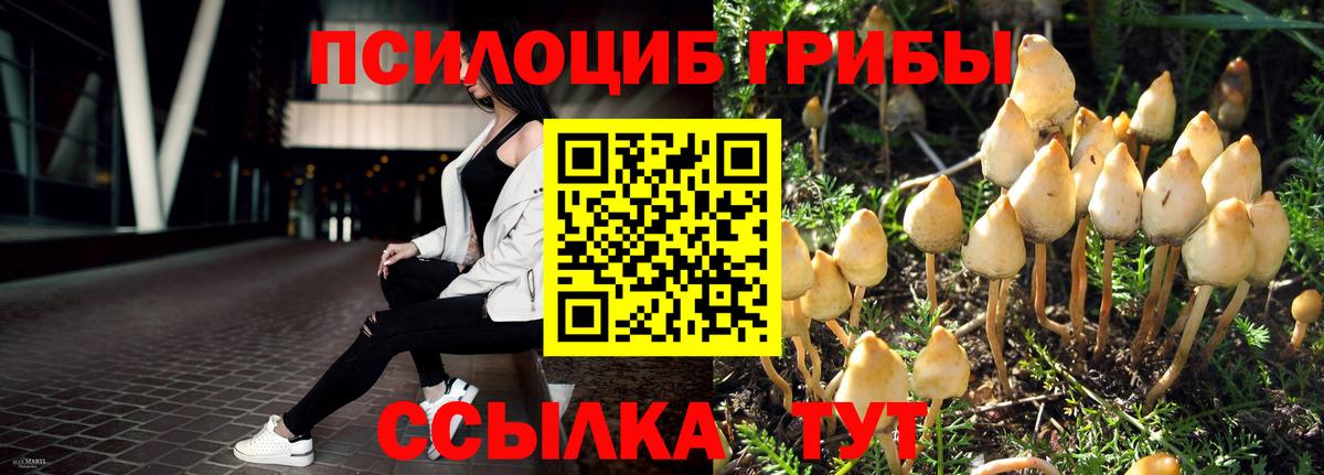 Галлюциногенные грибы мухоморы  Вход с VPN  Холмск 